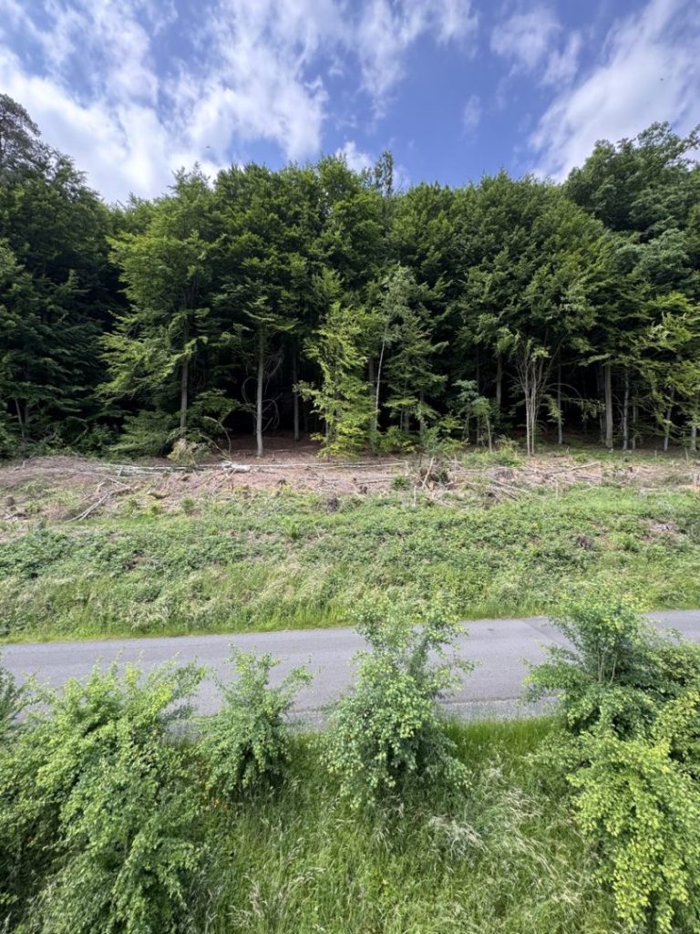 Aussicht Schlafzimmer