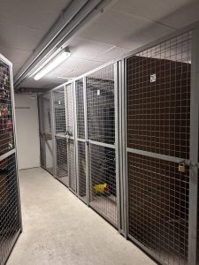 Abstellräume Keller